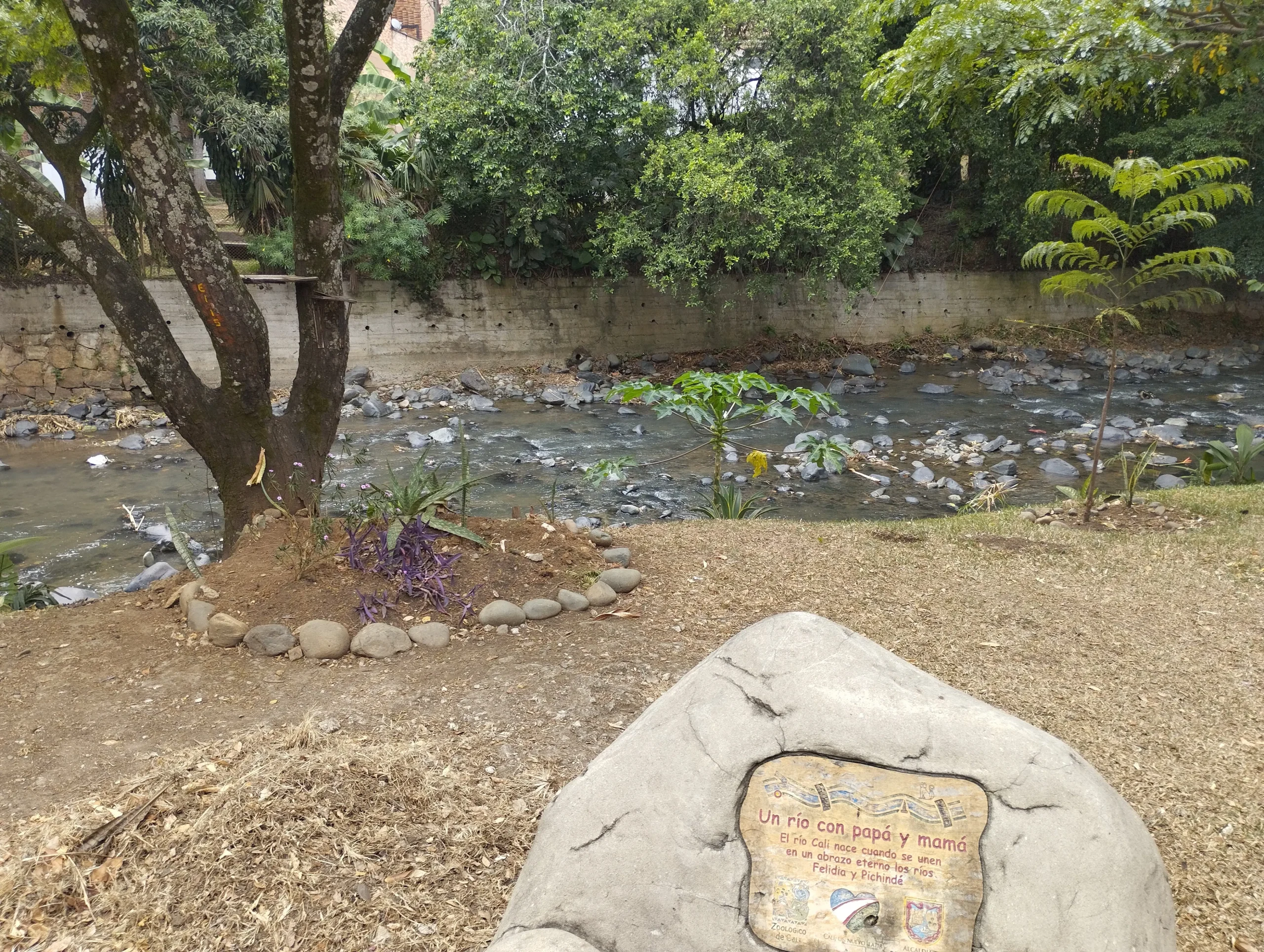 Rio Cali