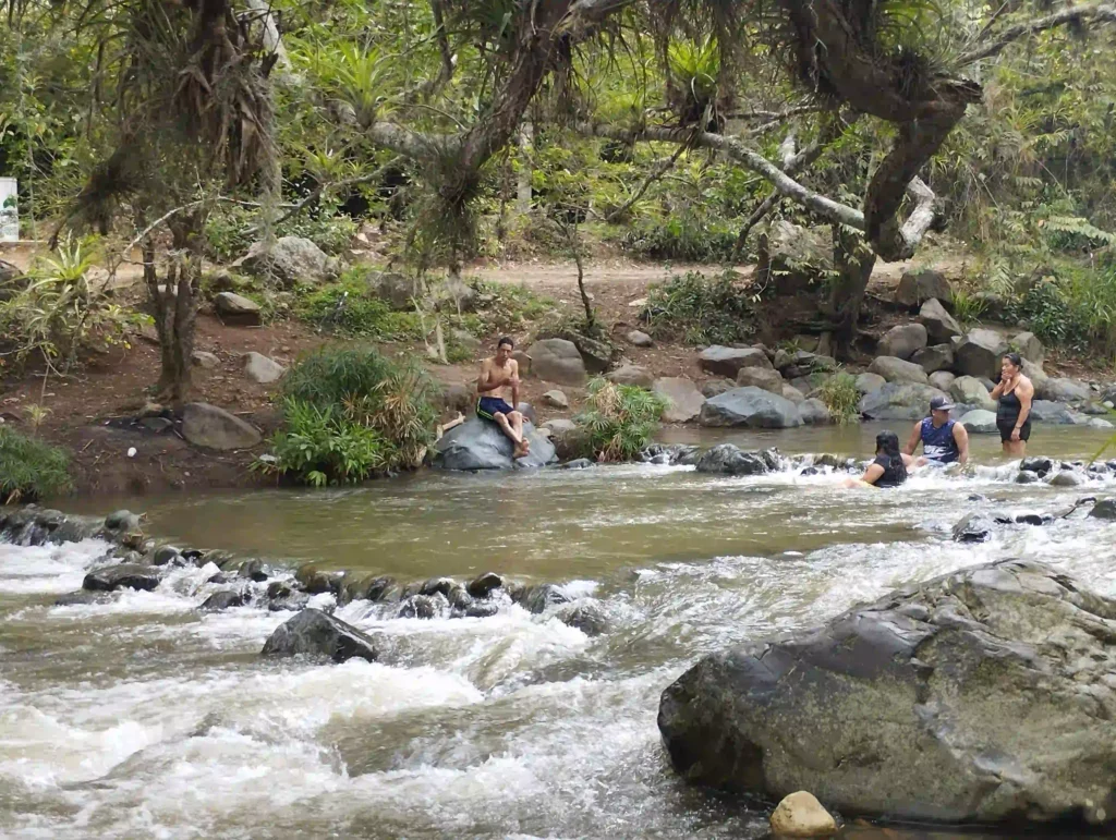 people enjoying at pance river