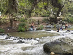 people enjoying at pance river